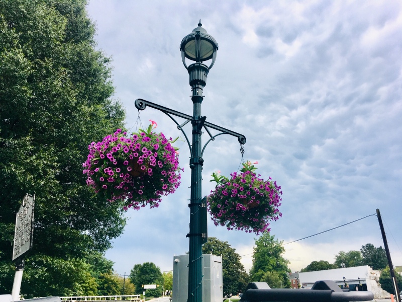 Hanging Flower Baskets Downtown