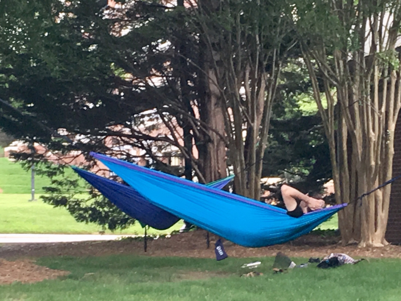 Hammock