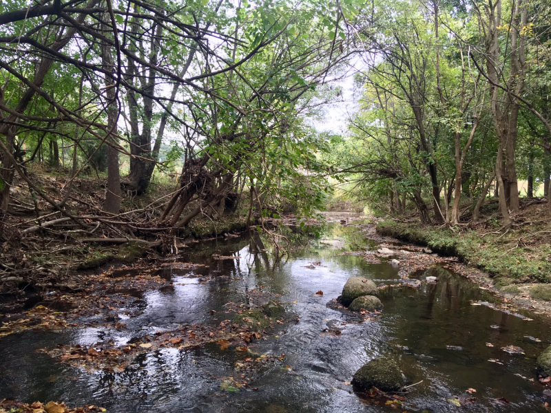 Lake Daniel Park