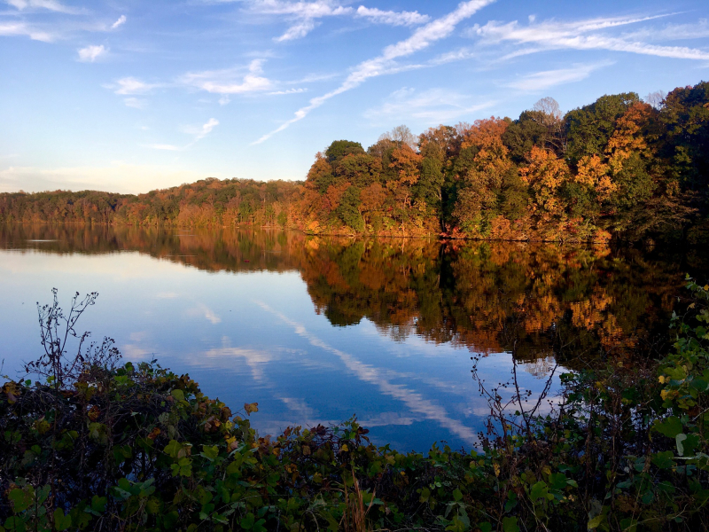 Fall on Lake Higgins