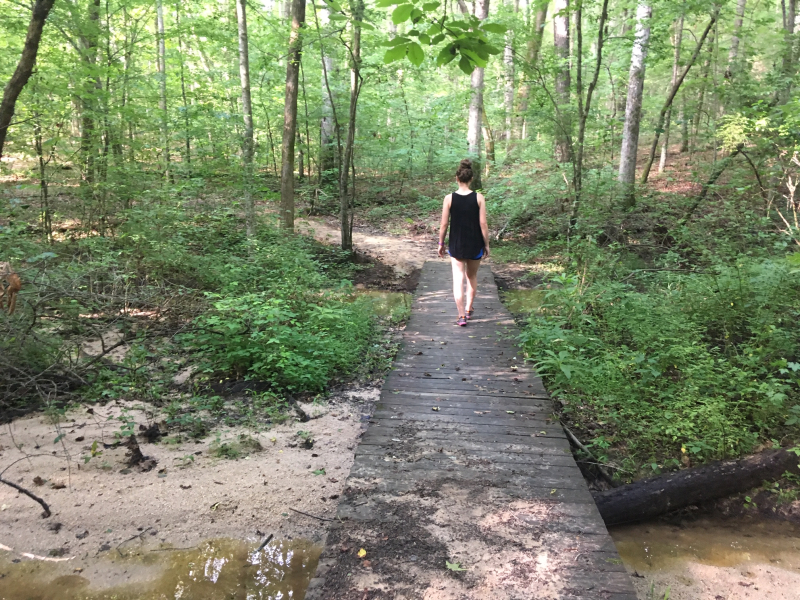 Bald Eagle Trail