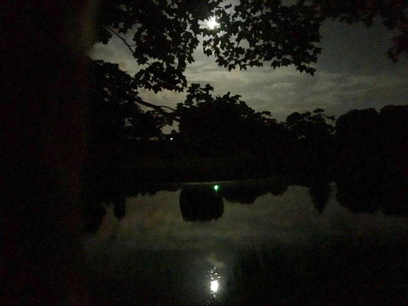 Full Moon Fun!