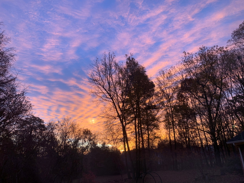 Thanksgiving Sky… and The Really, Really Free Market