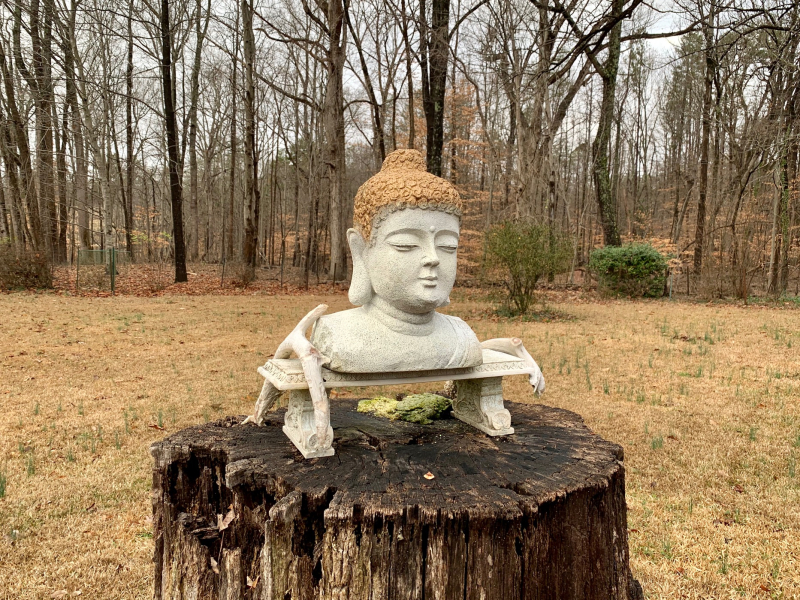 Buddha Guilford  College