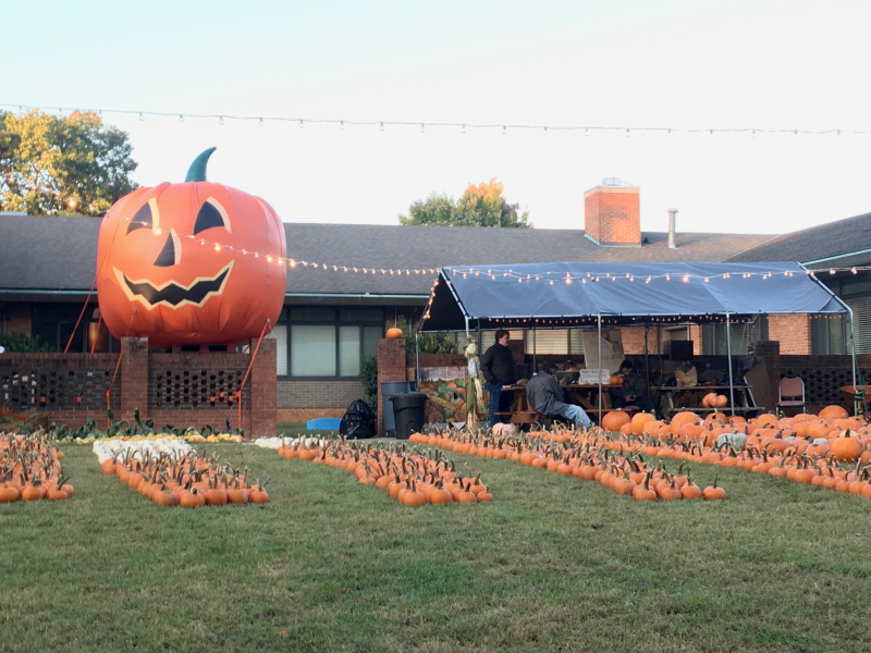 Pumpkin Patches