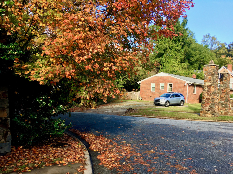 Fall on Lindell Road