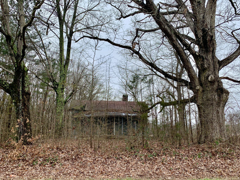 This Old House