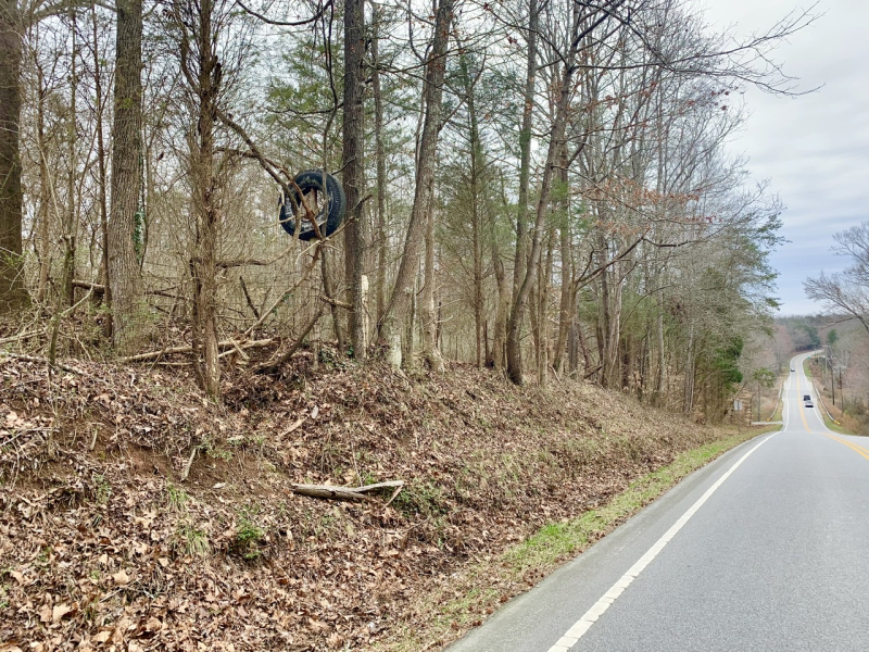 Country Curiosities on Lewiston Road