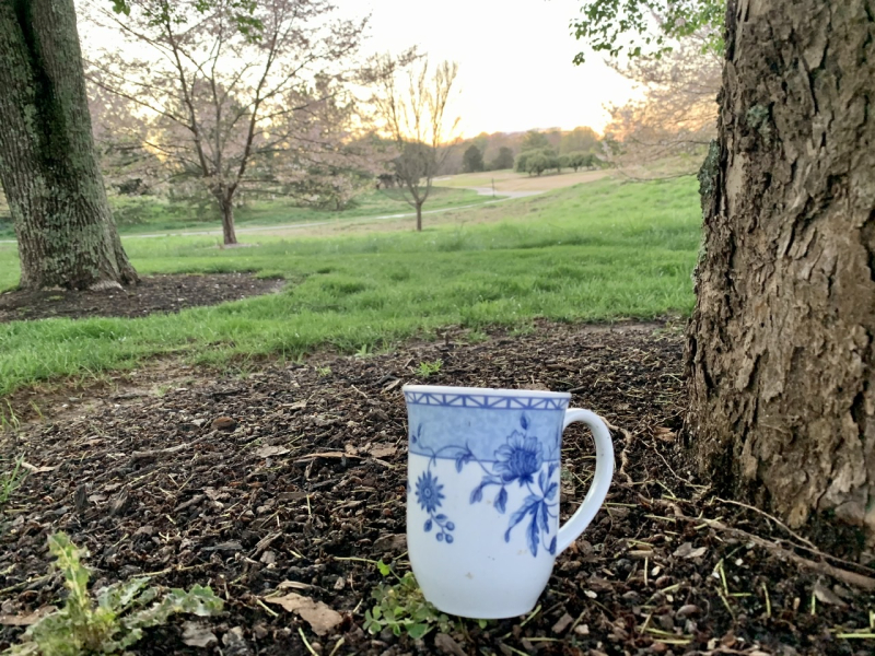 Mystery of the Purloined Mug…