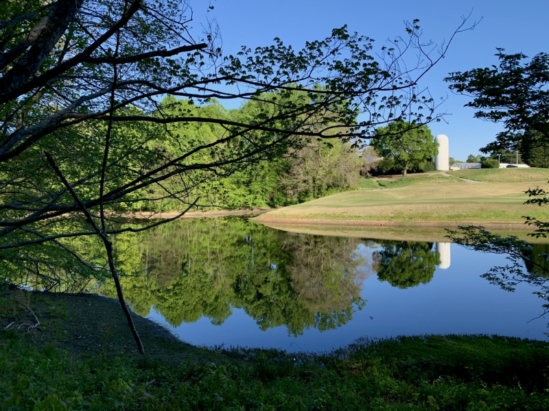 Pond and Sky View