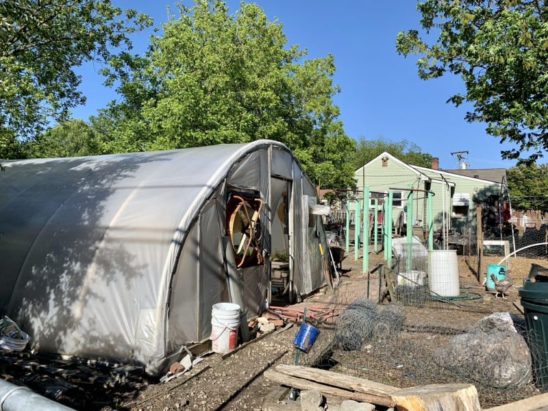 Sustainable Living in an Urban Area