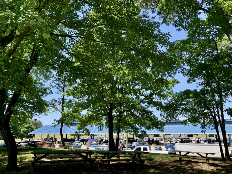 Picnic at the Robert G. Shaw Piedmont Triad Farmers Market
