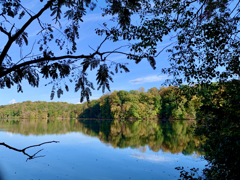 Warm Fall Day on Lake Higgins