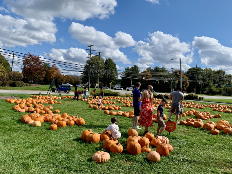 It’s Pumpkin Patch Time at Guilford College UMC