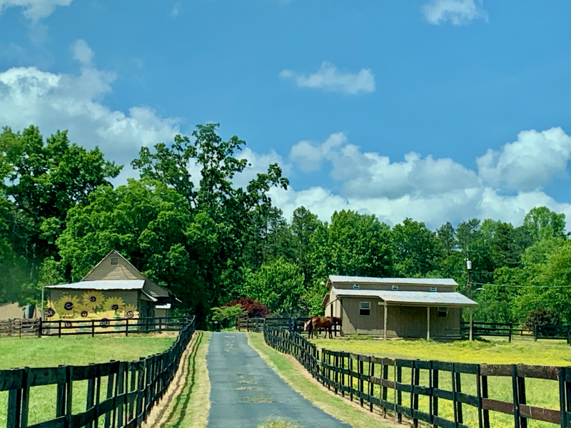 Beautiful Farm on Bethel Church Road