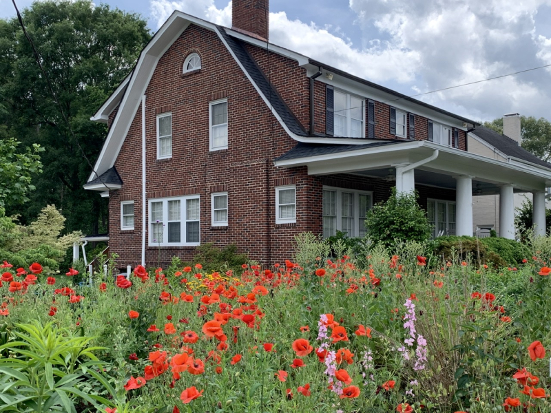 Field of Poppies for Memorial Day 2020