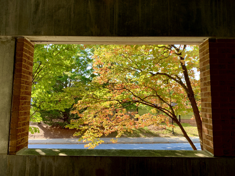 Glorious Fall; Beautiful Foliage