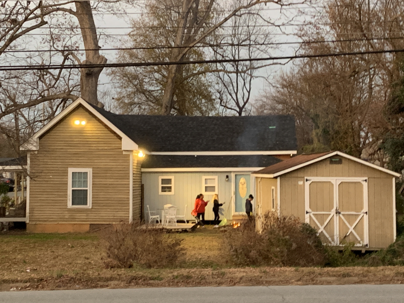 Cranbrook Street: Teeming with Life