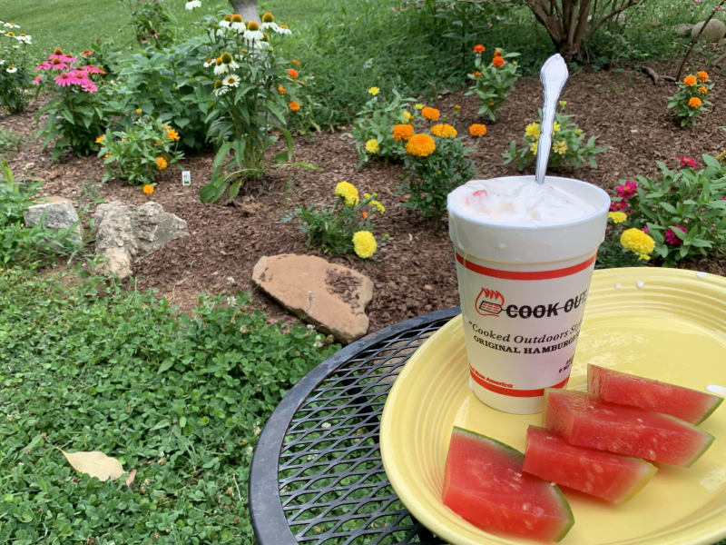 Seasonal Foods Like Watermelon Milkshakes!