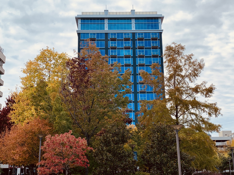 Autumn View of Center Pointe