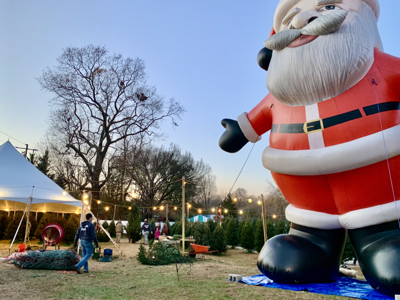 Sunnyside Farms a Local Option for Christmas Trees