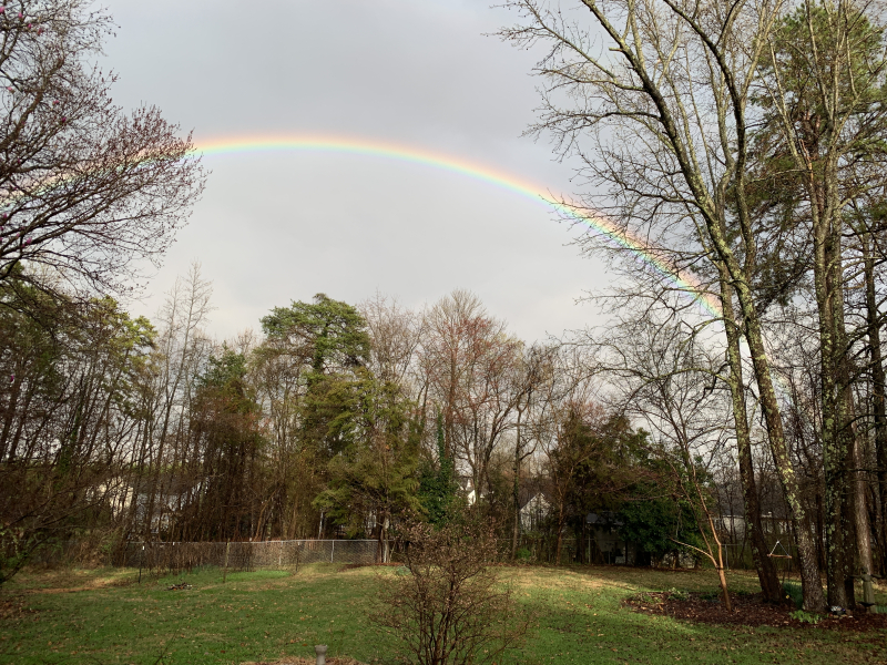 Yesterday Was a  Rainbow Afternoon In Greensboro!