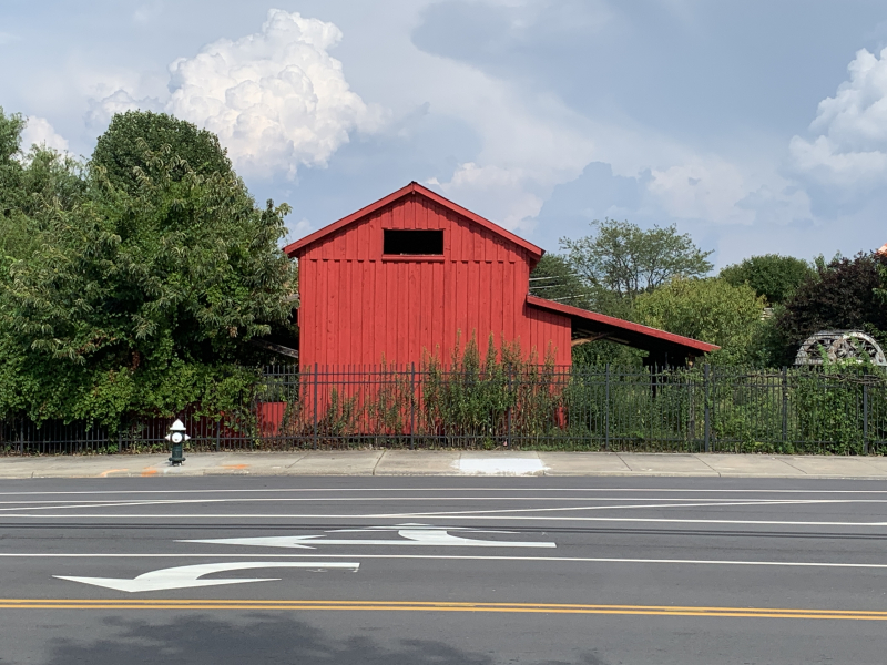 The Edible Schoolyard