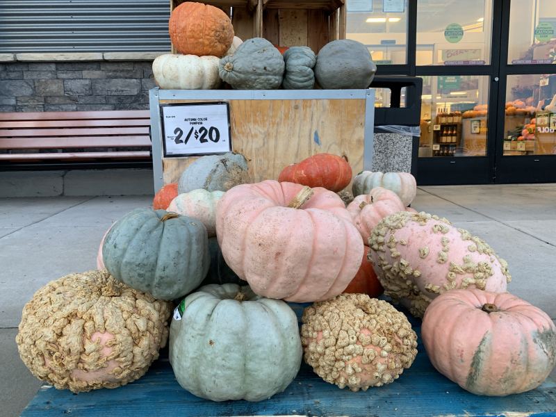 Fall Is Pumpkin Time