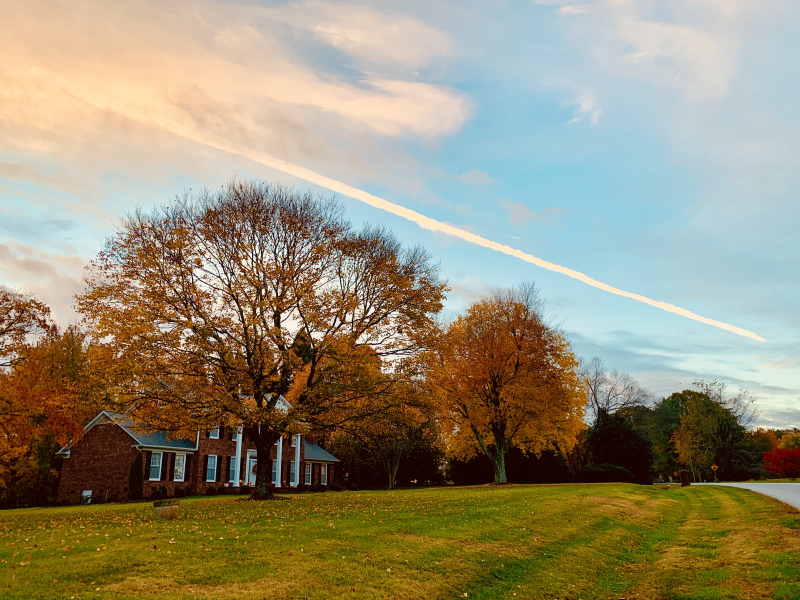Contrails Over Carlson Dairy Road