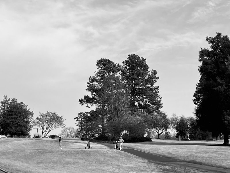 Golf in the Heart of Irving Park