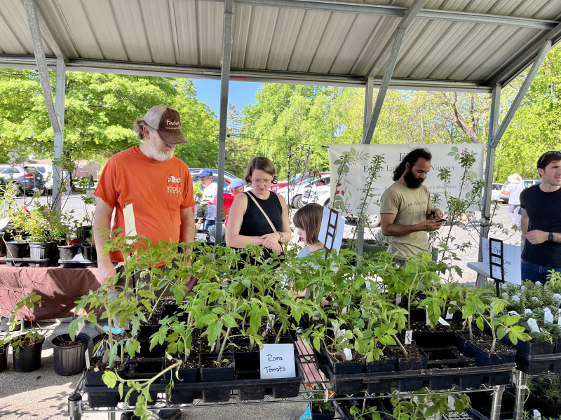 Farmers Market Day