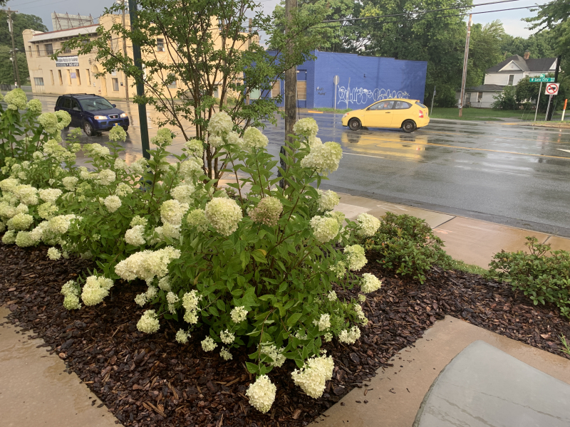 West Gate City Boulevard at Dillard Street