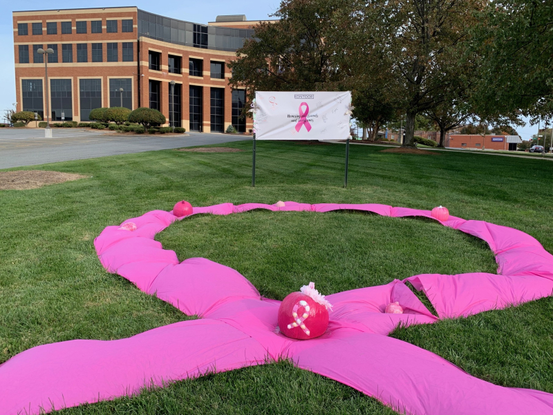 Wrangler, So Pretty in Pink