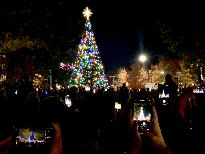 Festival of Lights, Let the Season Begin!