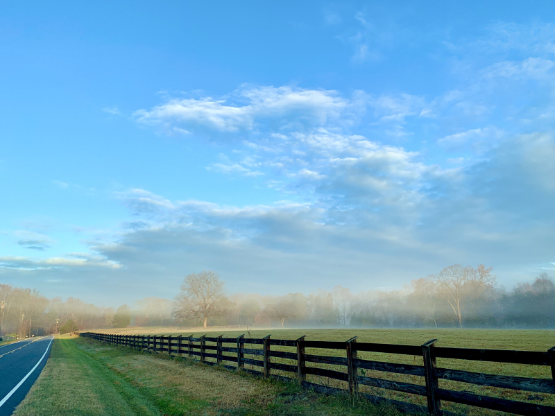 Foggy December Day
