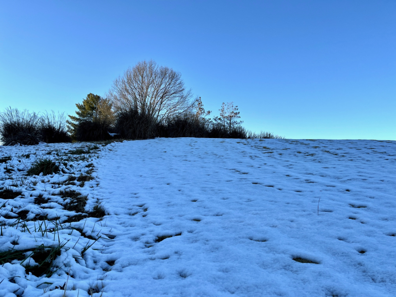 First Snow of 2022!