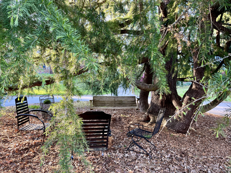 Happy Earth Day… Pull Up a Chair!