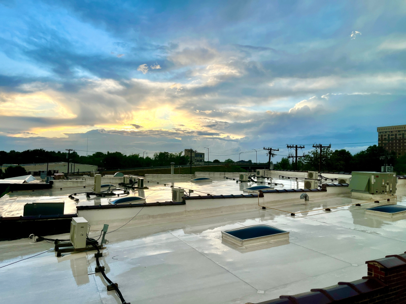 Rooftops and a Bird’s Eye View