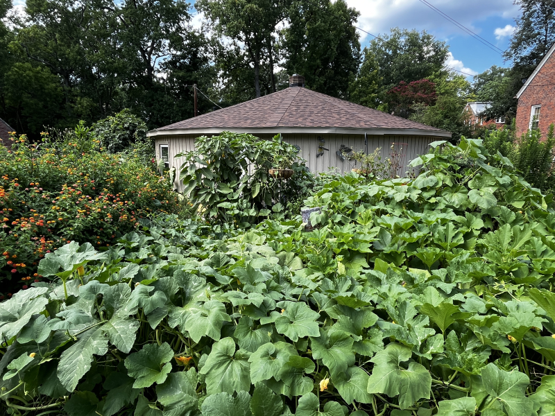 2416 Walker Avenue: Little Round House