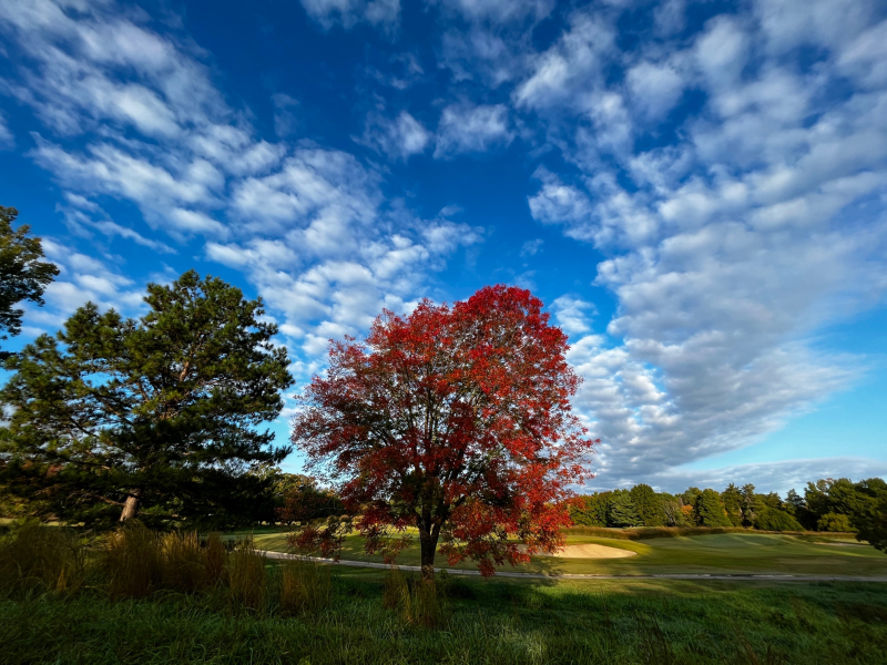 Lovely Fall Weather in October in Greensboro