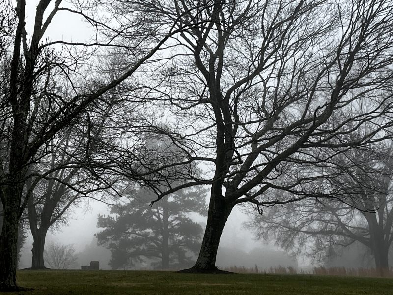 A Beautiful Fog, Hovering Over Greensboro