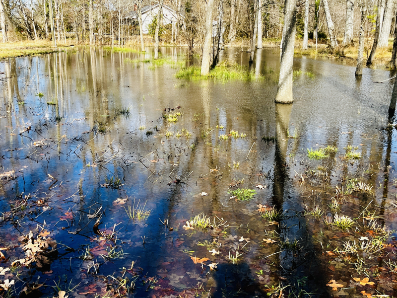 Highway 61 in Eastern Guilford County