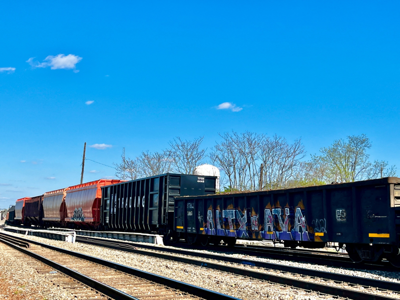 Enjoying the Trains on South Elm
