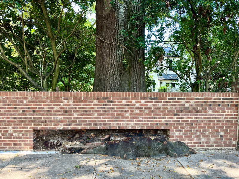 Keeping Greensboro Green