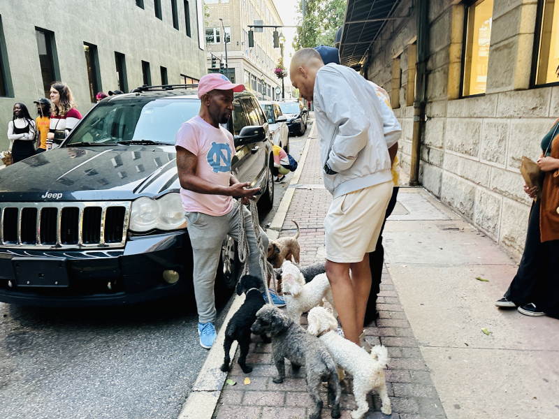 Saturday Night with Poodles- on East Washington Street at South Elm