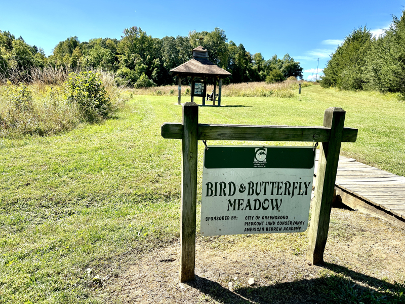 Bird and Butterfly Meadow