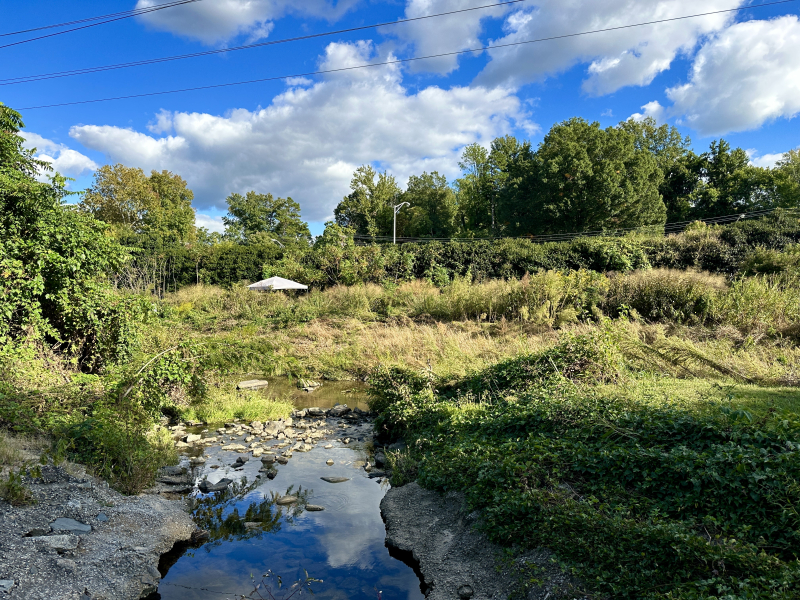 Greensboro Arboretum