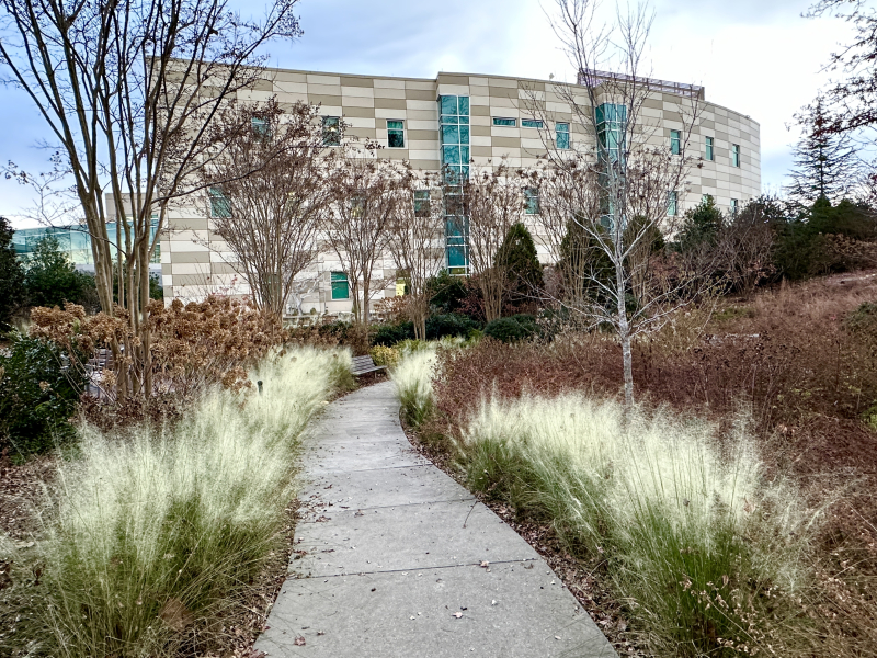 The Healing Gardens At Wesley Long