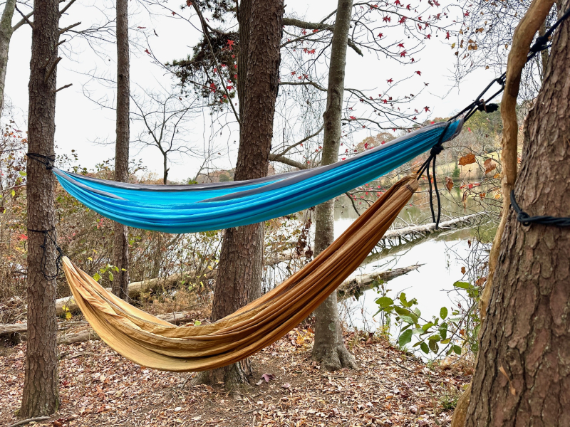 Hiking and Hammocks Along Lake Higgins