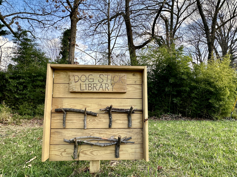 From the Dog Stick Library to the Greensboro City Library
